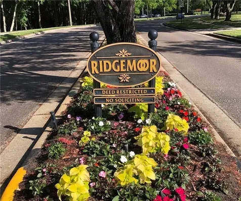 4202 Rotherham Court Palm Harbor FL 34685