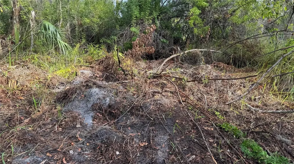12807 Upper Manatee River Road Bradenton FL 34212