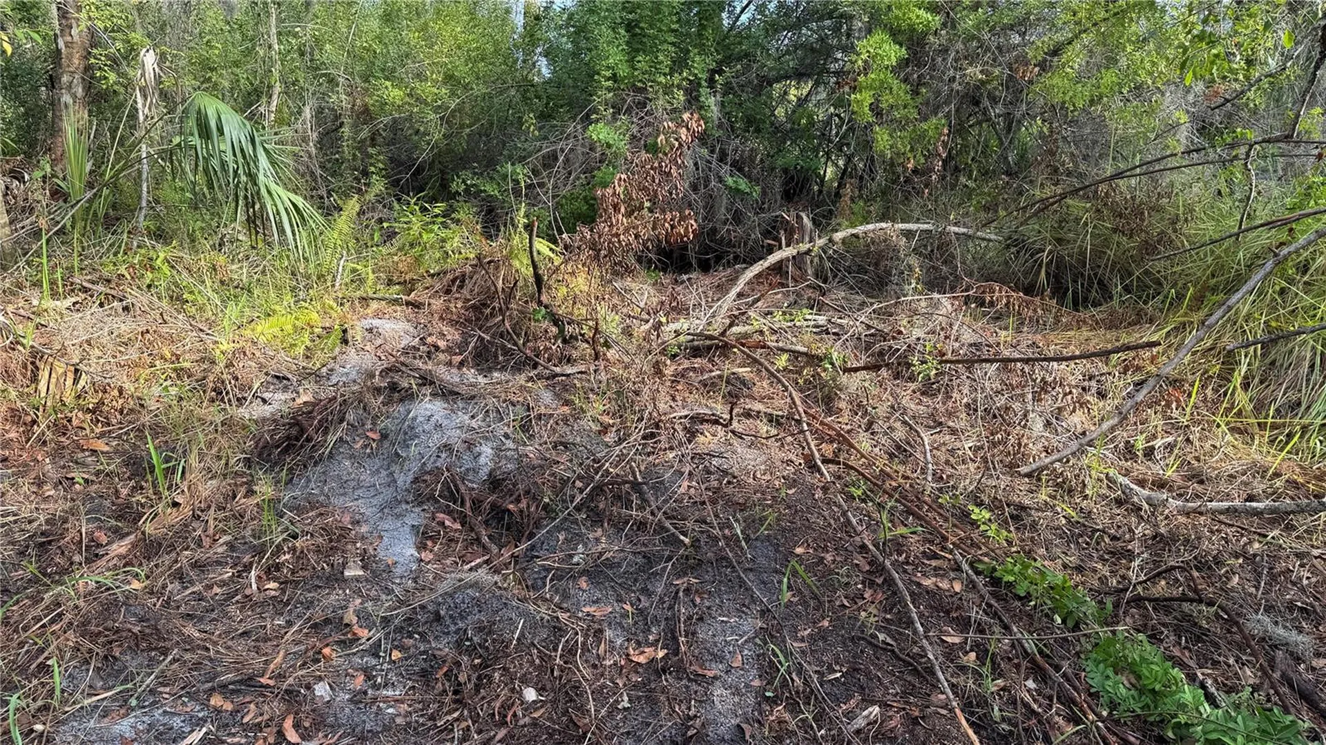 12807 Upper Manatee River Road Bradenton FL 34212