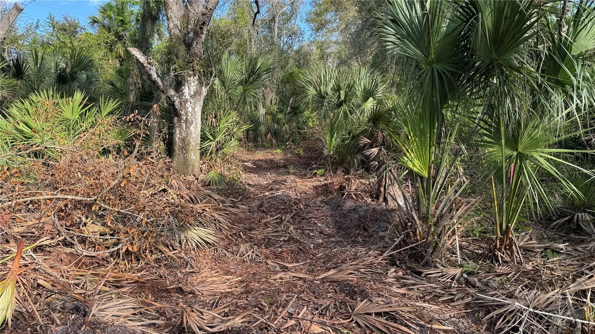 12807 Upper Manatee River Road Bradenton FL 34212
