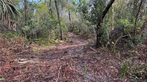 12807 Upper Manatee River Road Bradenton FL 34212