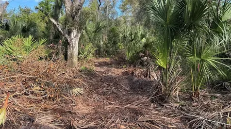 12807 Upper Manatee River Road Bradenton FL 34212