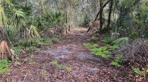 12807 Upper Manatee River Road Bradenton FL 34212