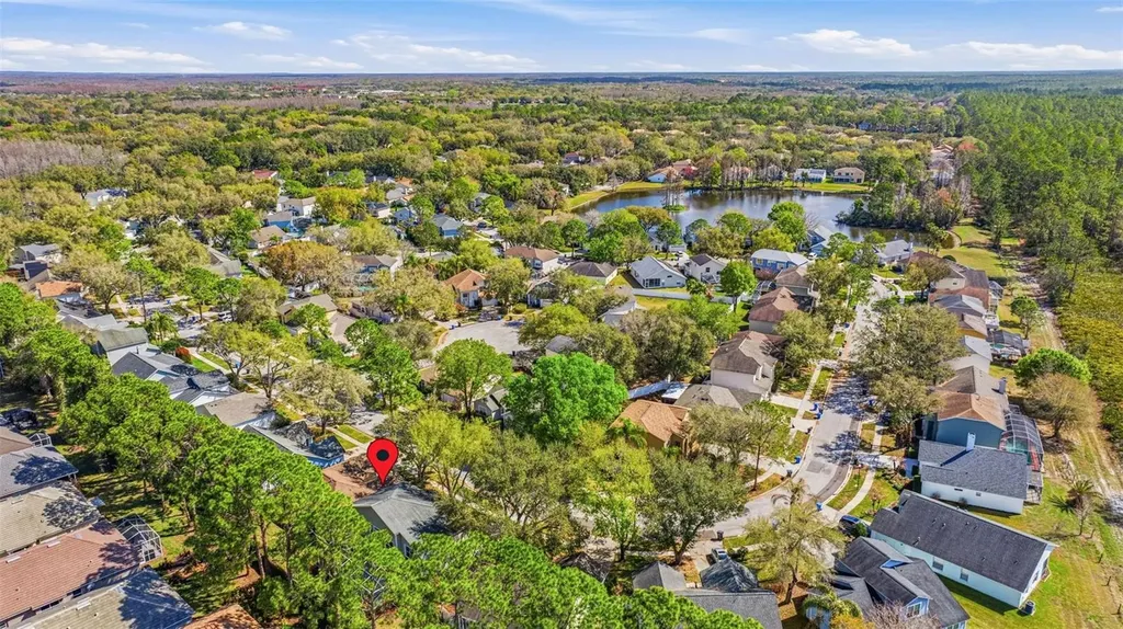 17705 Esprit Drive Tampa FL 33647