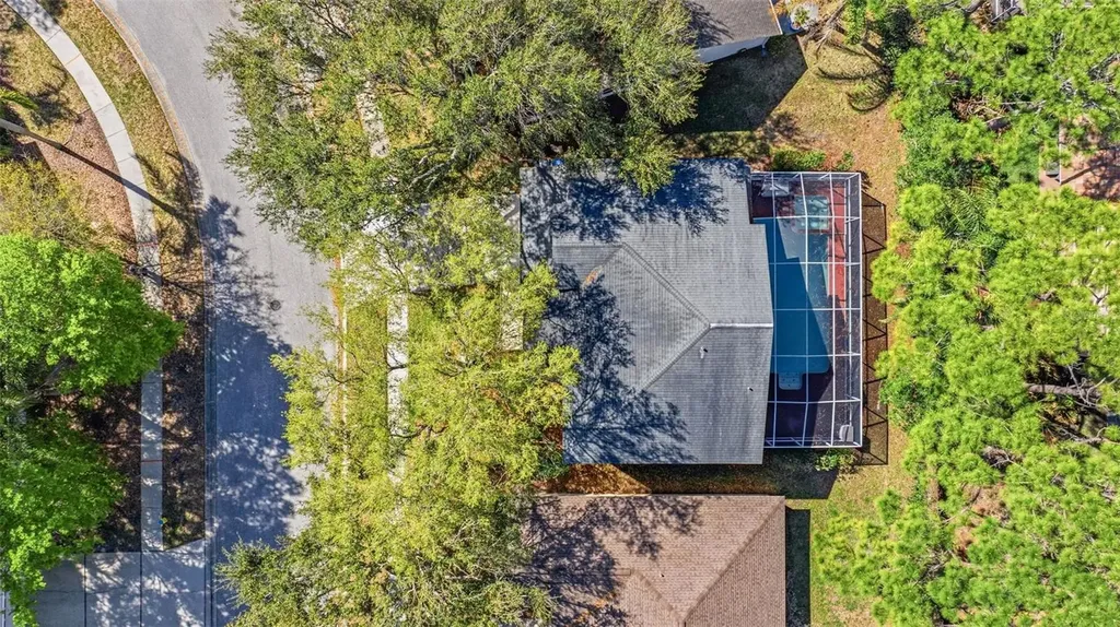 17705 Esprit Drive Tampa FL 33647