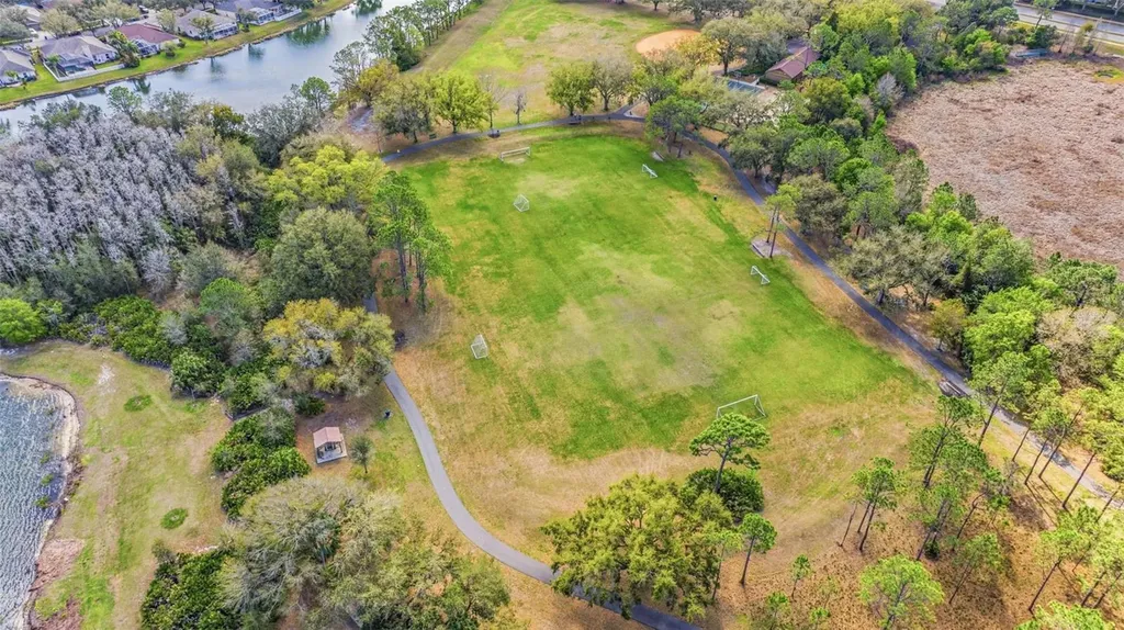 17705 Esprit Drive Tampa FL 33647