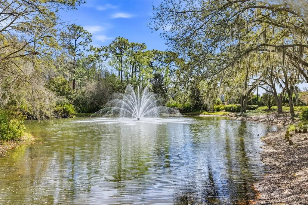 17705 Esprit Drive Tampa FL 33647