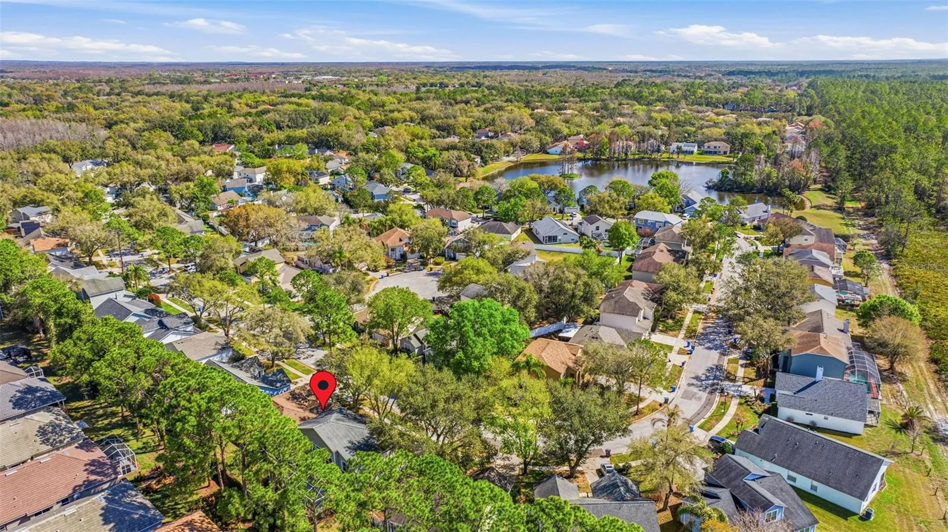 17705 Esprit Drive Tampa FL 33647