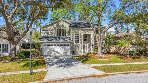 17705 Esprit Drive Tampa FL 33647