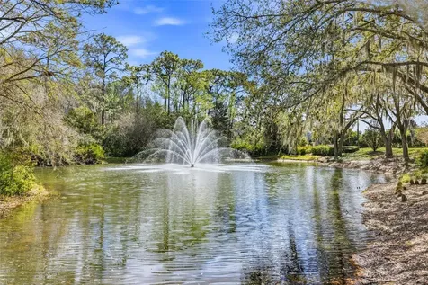 17705 Esprit Drive Tampa FL 33647