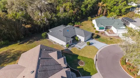 9280 SE 179th Wesley Street The Villages FL 32162