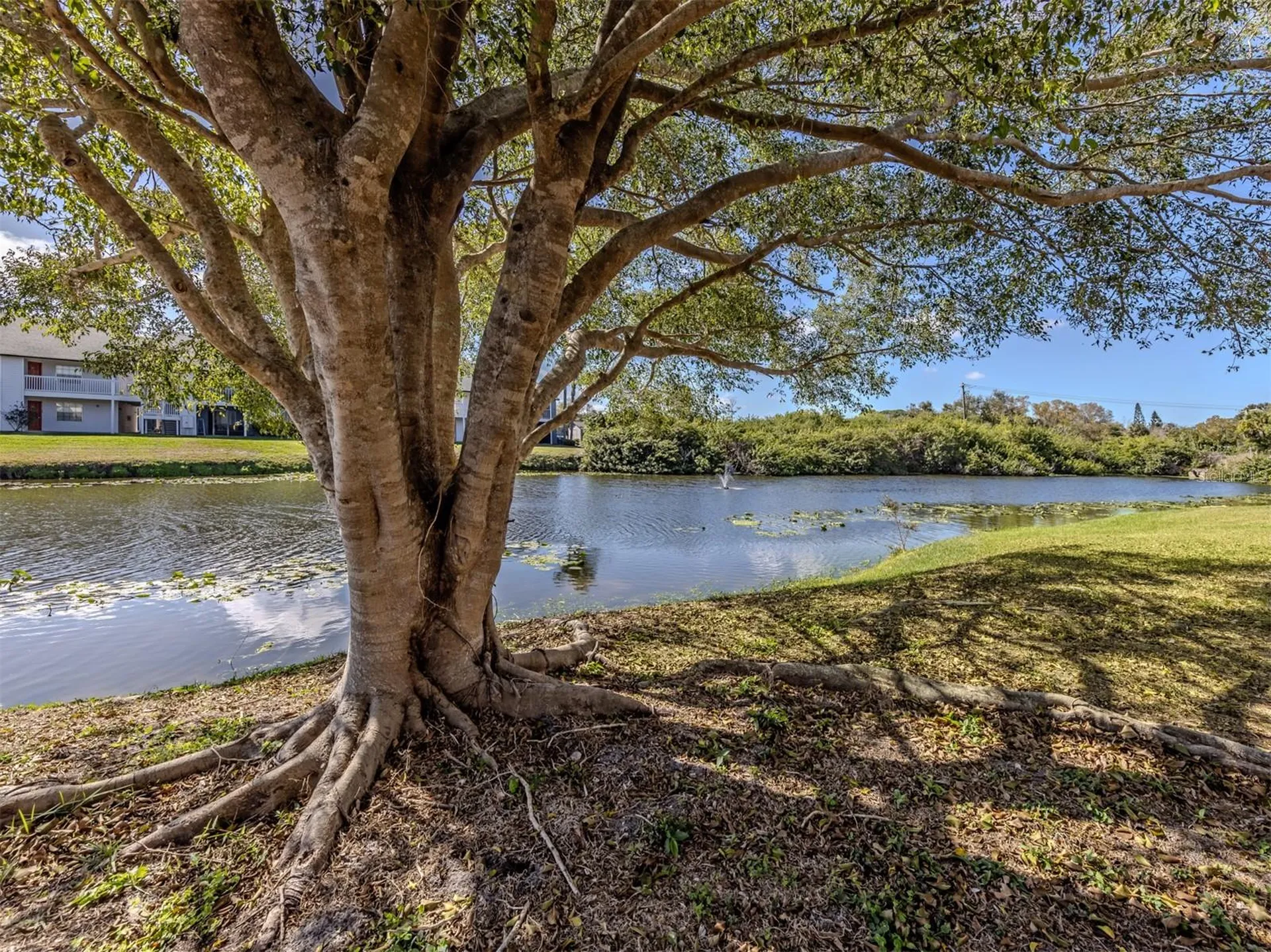 2616 Hidden Lake Drive N Sarasota FL 34237