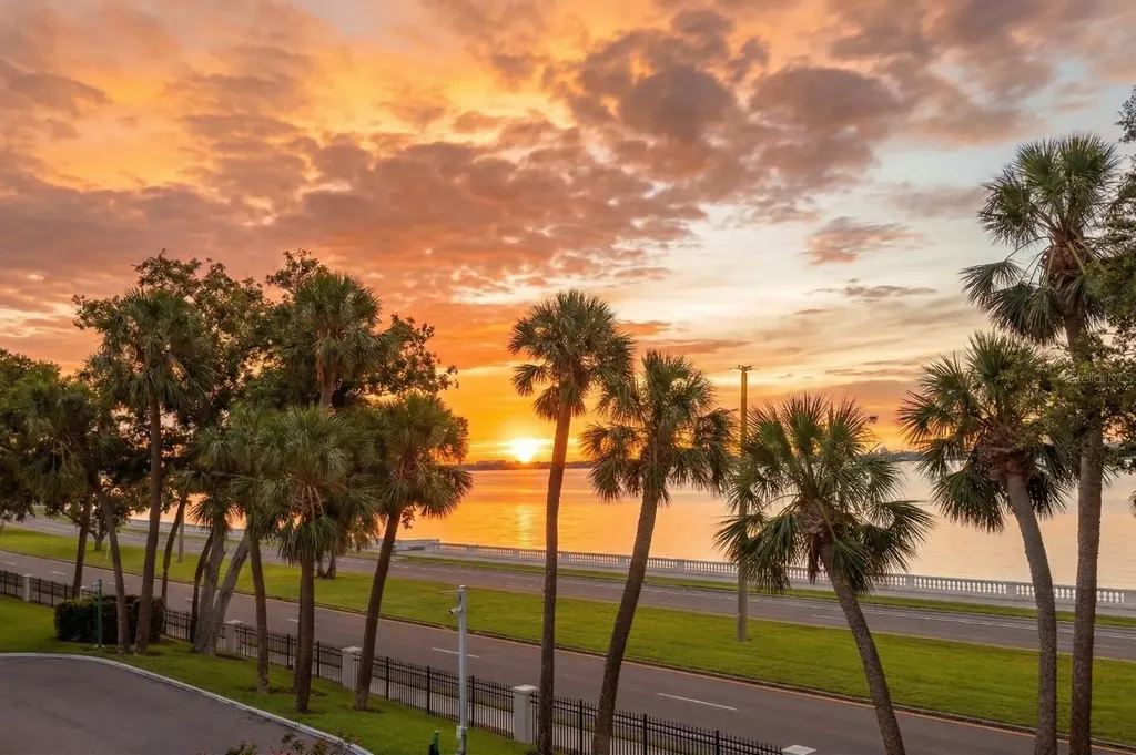 2619 Bayshore Boulevard Tampa FL 33629