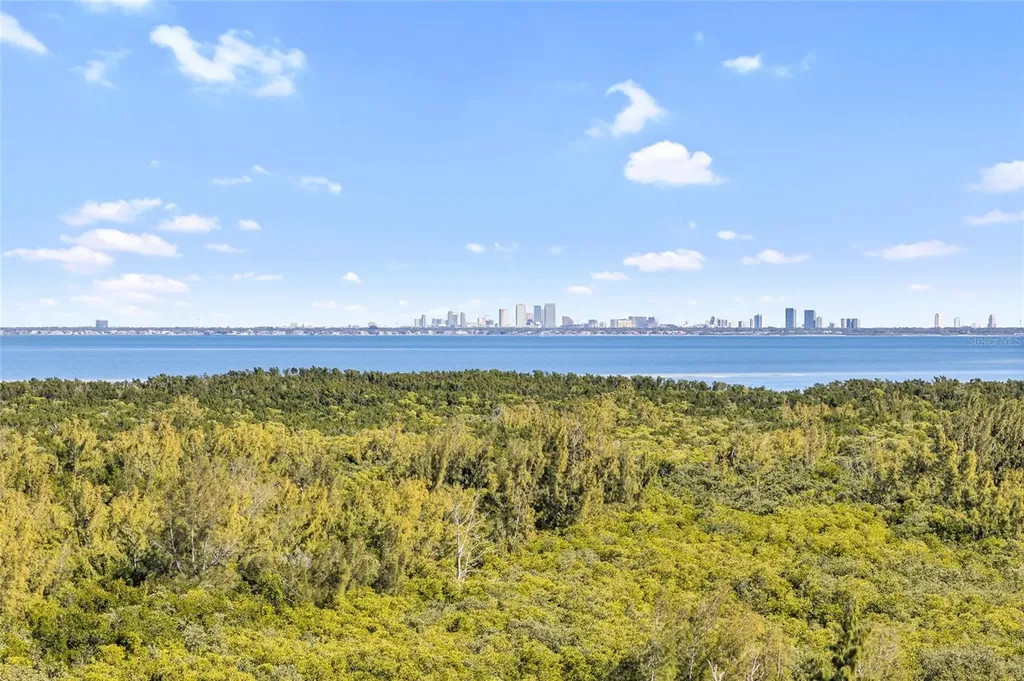 10851 Mangrove Cay Lane NE St Petersburg FL 33716