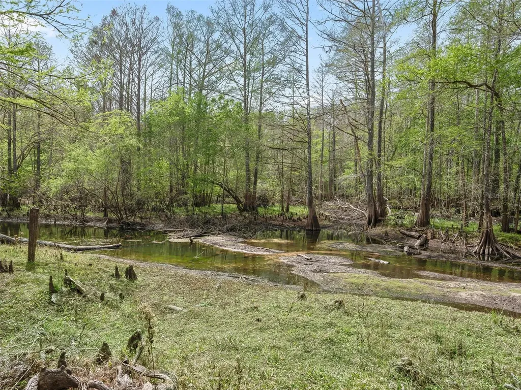 8701 Cr 647 S Bushnell FL 33513