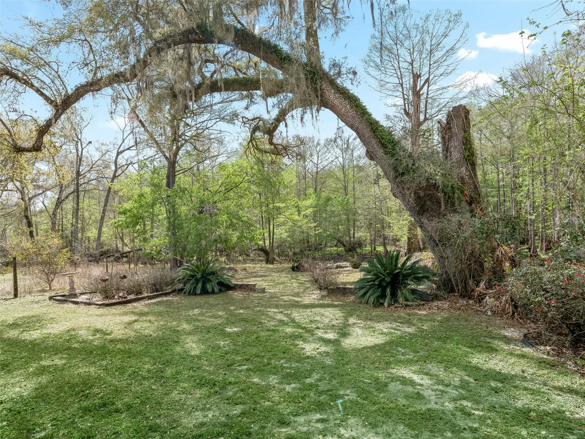 8701 Cr 647 S Bushnell FL 33513