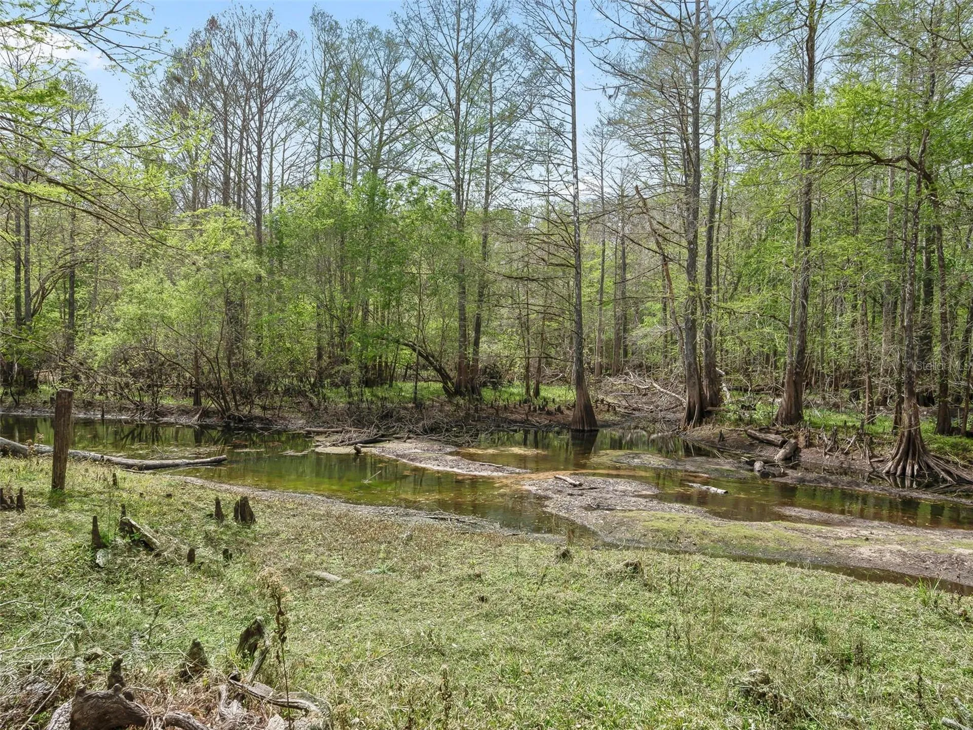 8701 Cr 647 S Bushnell FL 33513