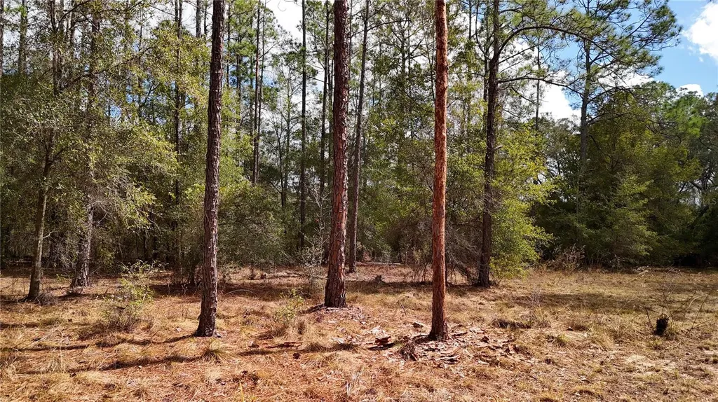 237 Highland Drive Hawthorne FL 32640
