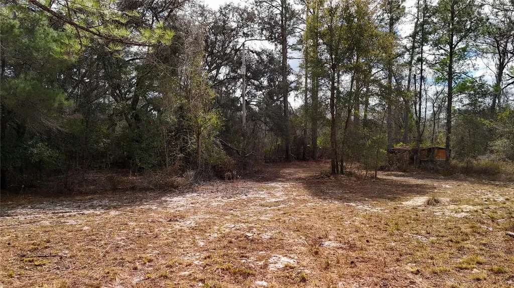237 Highland Drive Hawthorne FL 32640