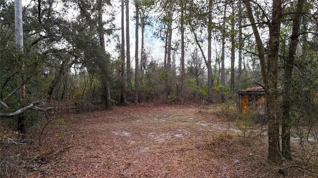 237 Highland Drive Hawthorne FL 32640