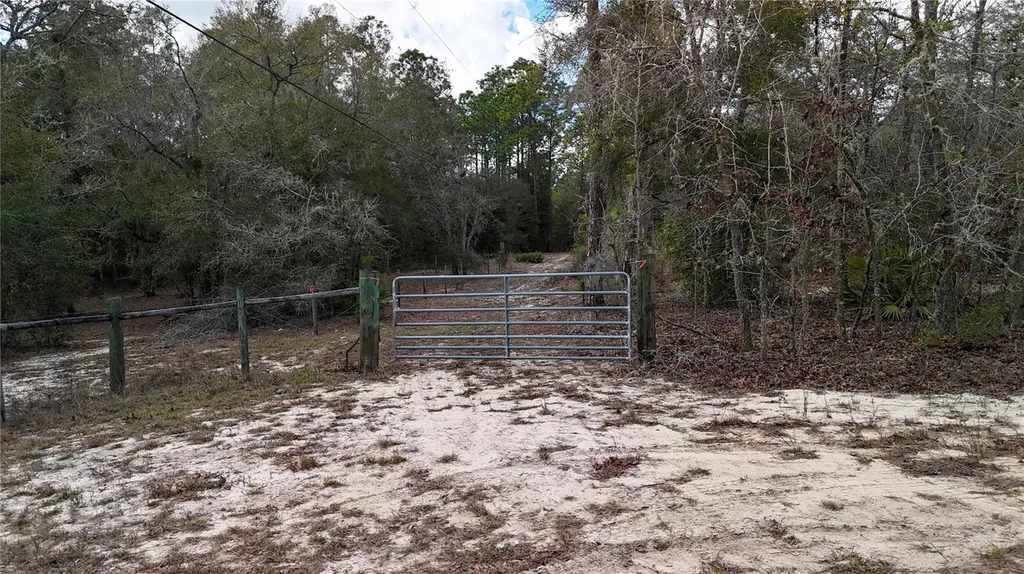 237 Highland Drive Hawthorne FL 32640