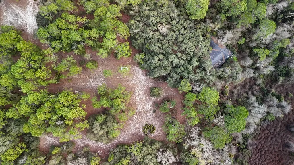 237 Highland Drive Hawthorne FL 32640