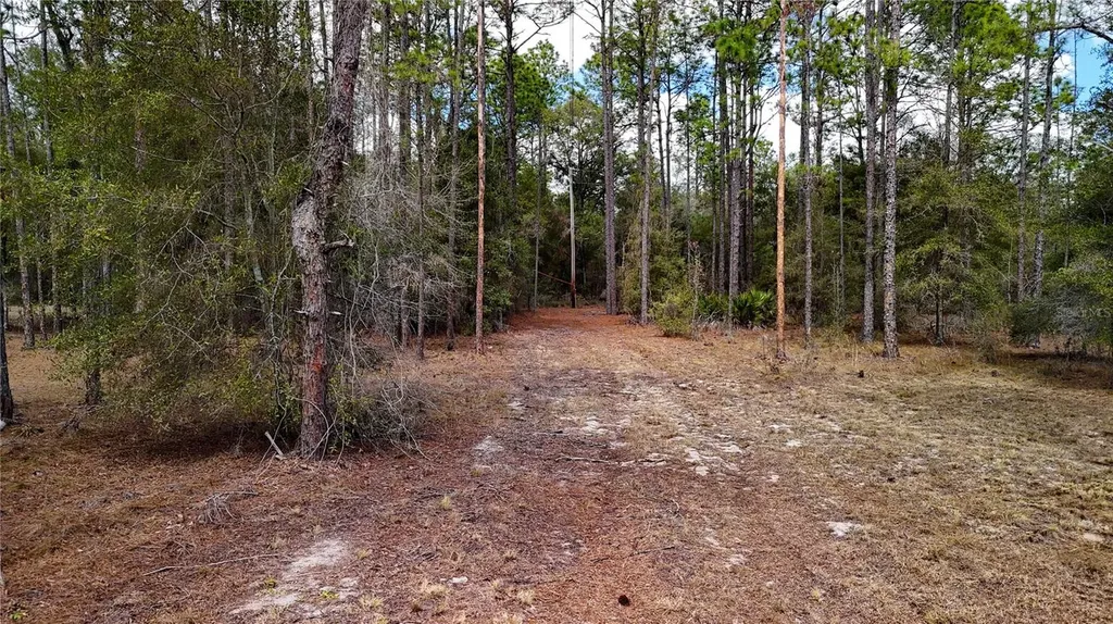 237 Highland Drive Hawthorne FL 32640