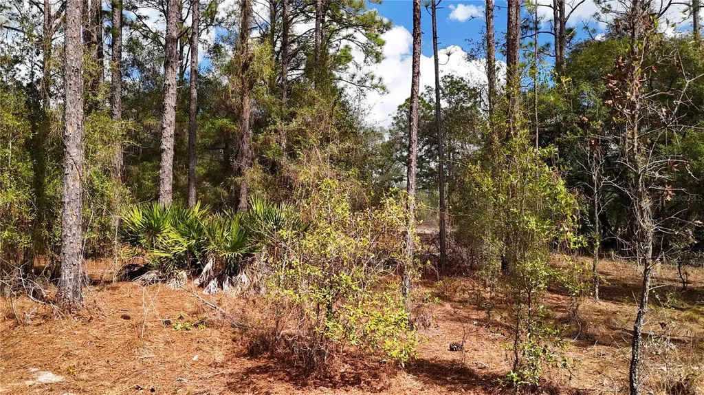 237 Highland Drive Hawthorne FL 32640