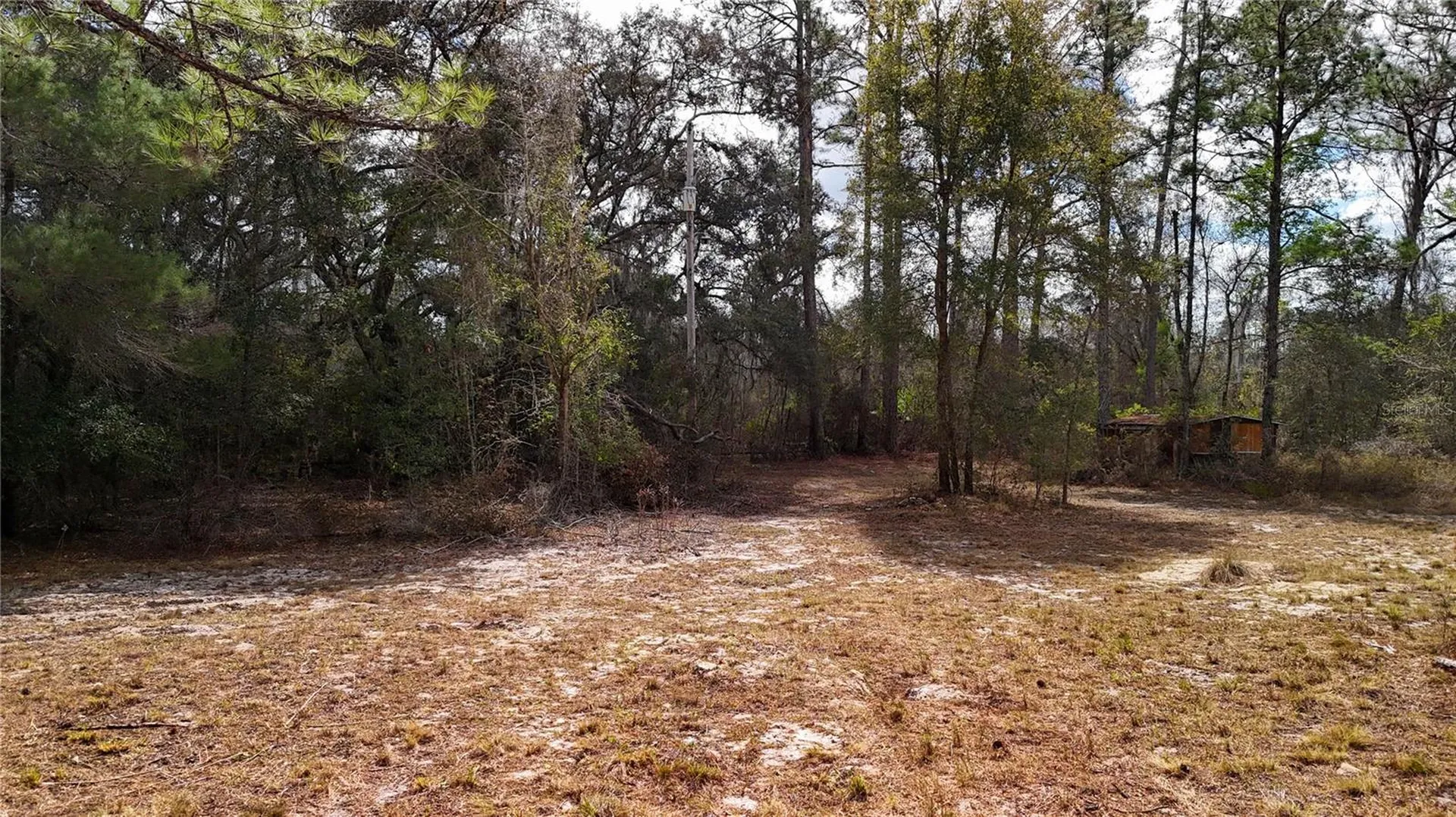 237 Highland Drive Hawthorne FL 32640