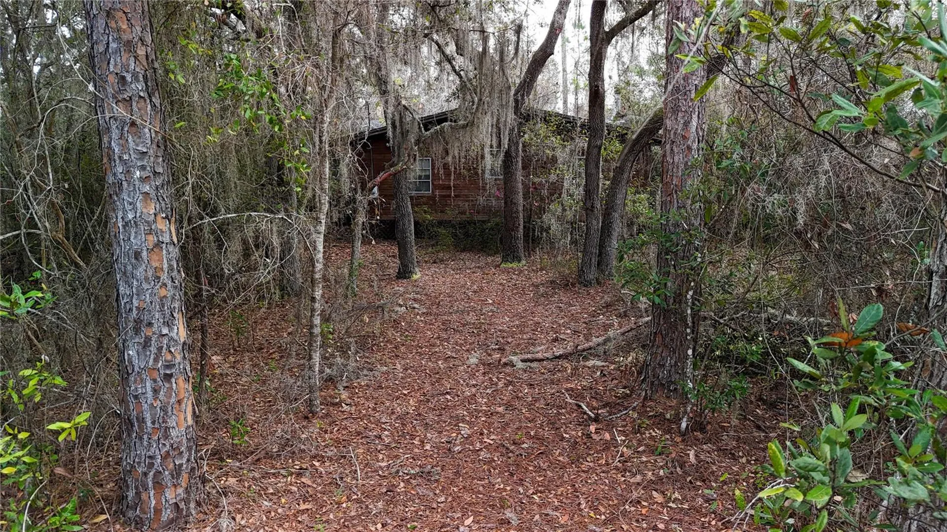 237 Highland Drive Hawthorne FL 32640