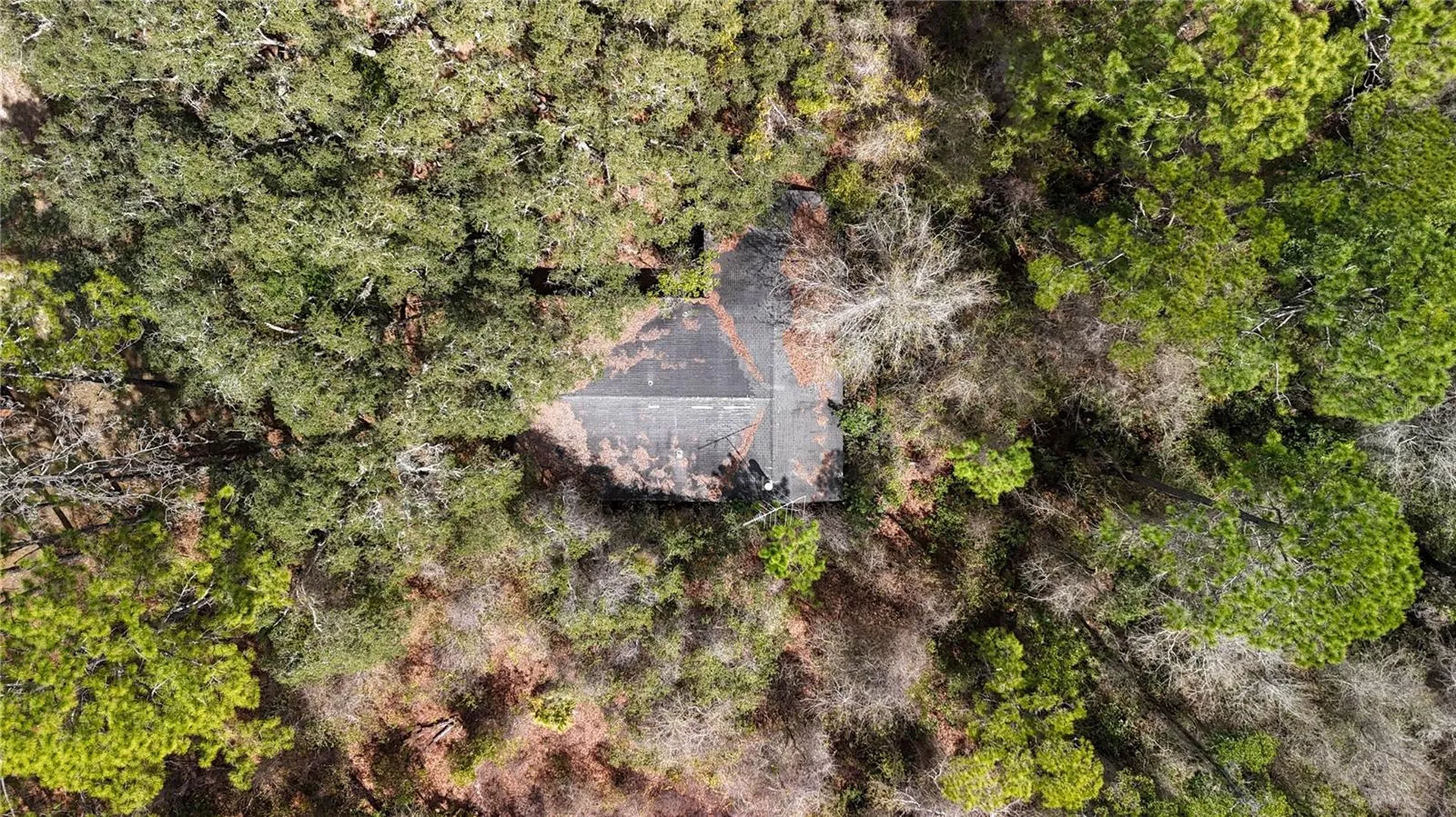 237 Highland Drive Hawthorne FL 32640