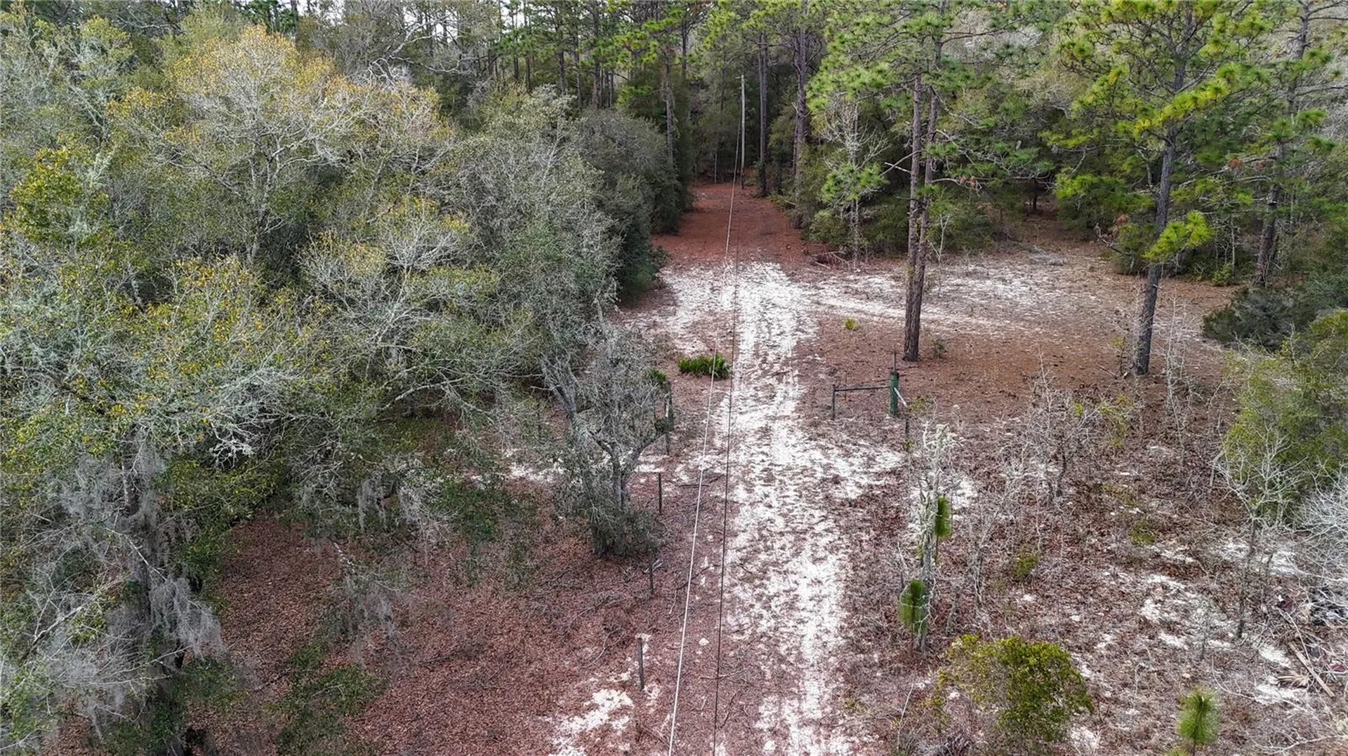 237 Highland Drive Hawthorne FL 32640