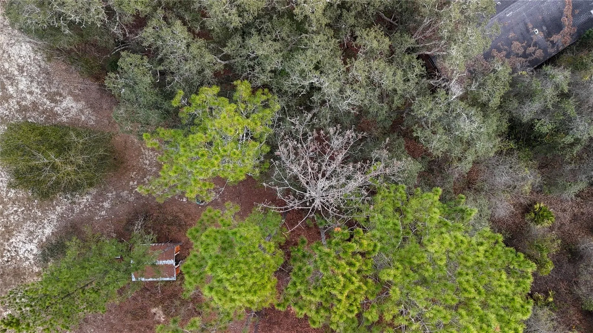 237 Highland Drive Hawthorne FL 32640