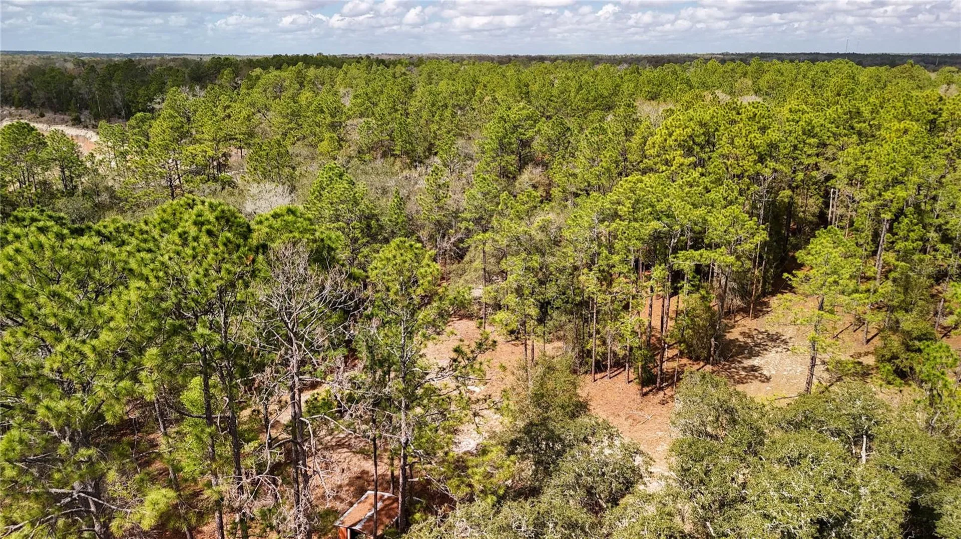 237 Highland Drive Hawthorne FL 32640