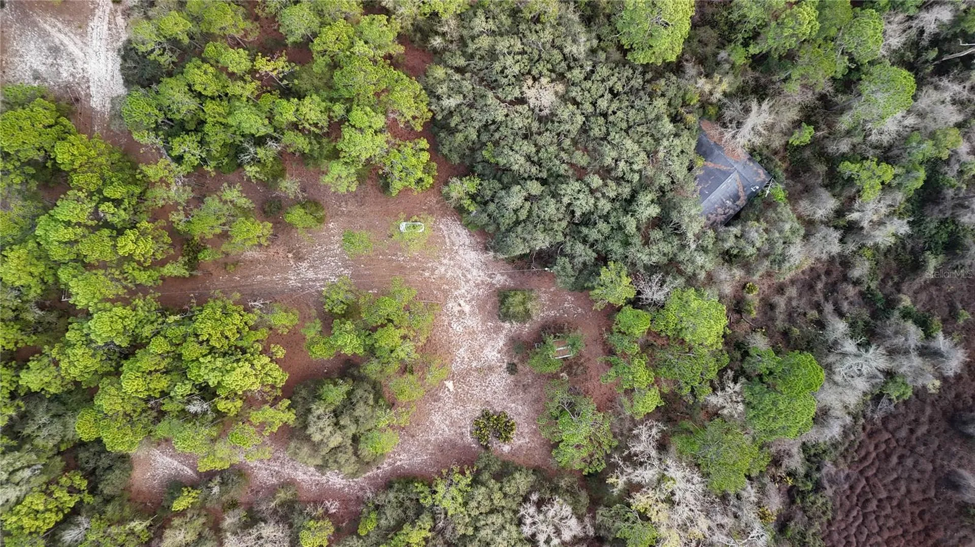 237 Highland Drive Hawthorne FL 32640