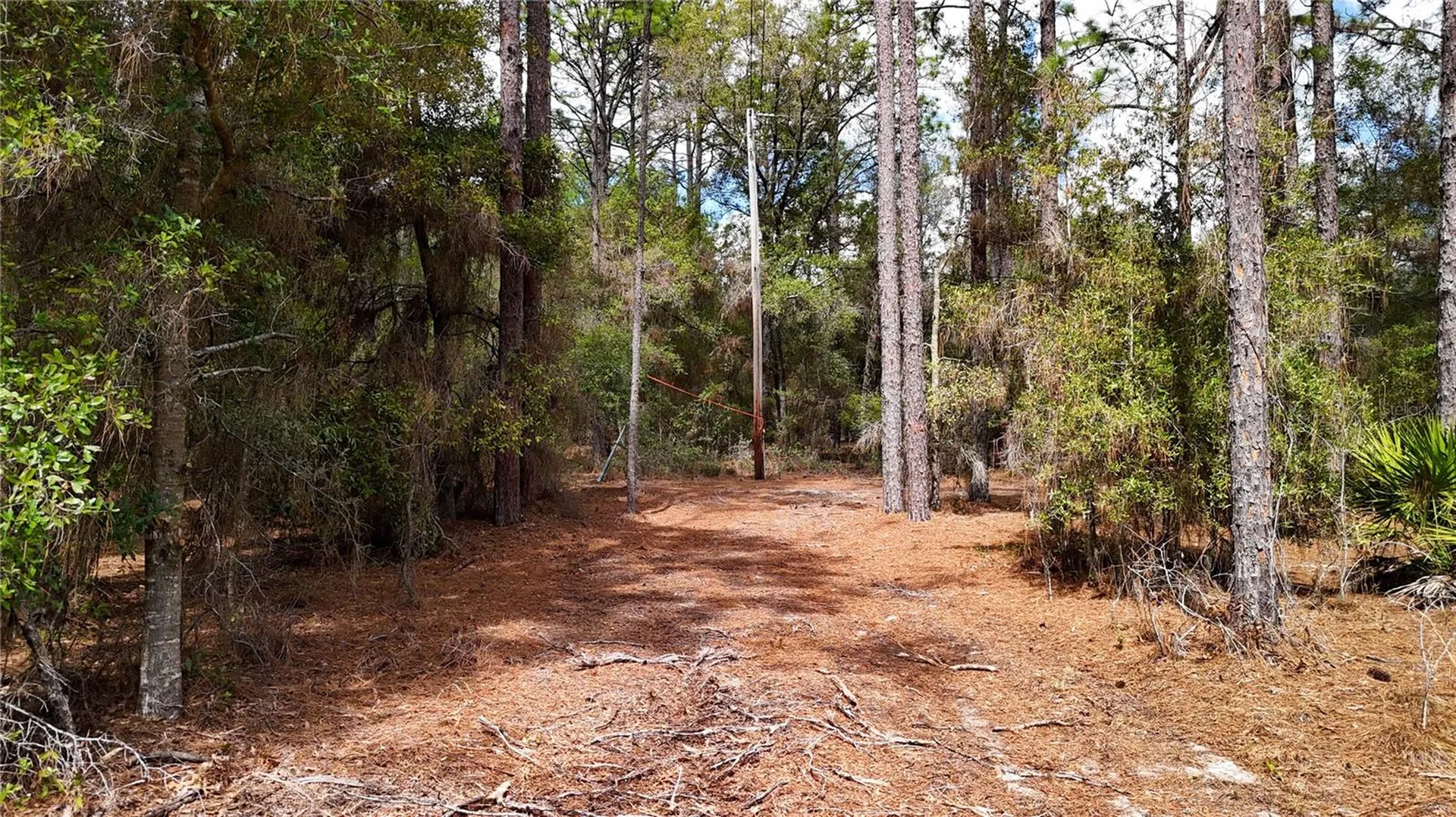 237 Highland Drive Hawthorne FL 32640