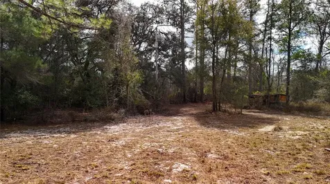 237 Highland Drive Hawthorne FL 32640