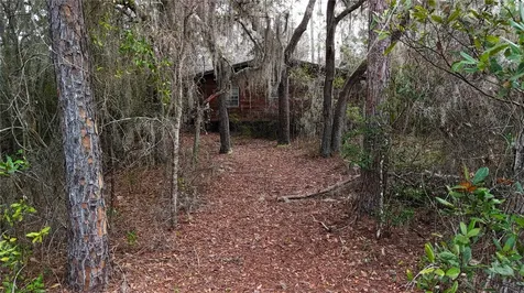 237 Highland Drive Hawthorne FL 32640