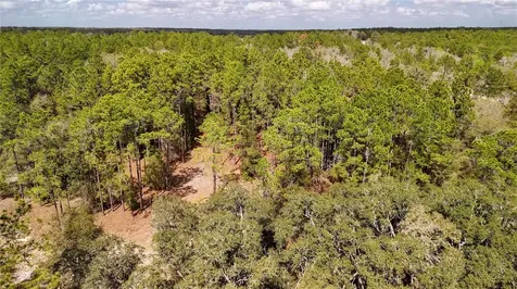 237 Highland Drive Hawthorne FL 32640