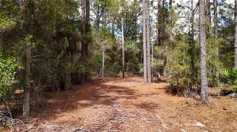 237 Highland Drive Hawthorne FL 32640