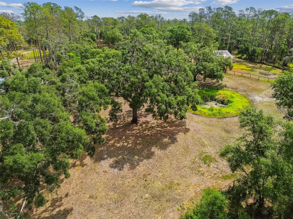 Wimauma FL 33598