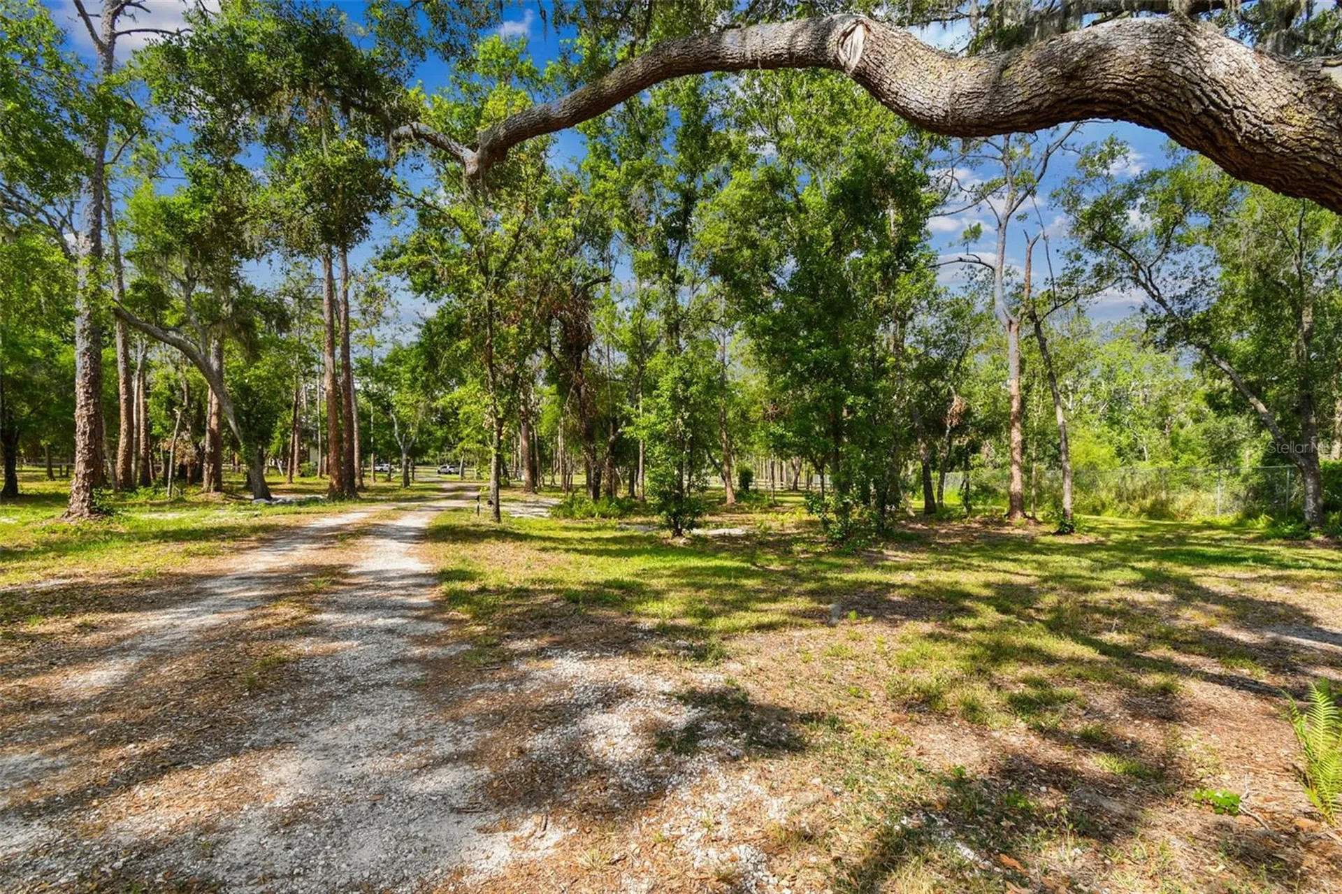 Wimauma FL 33598