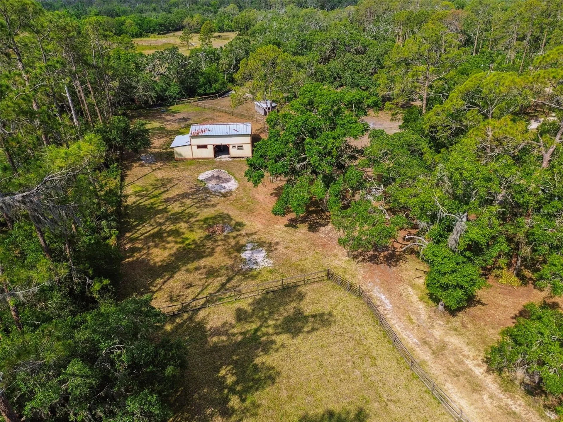 Wimauma FL 33598