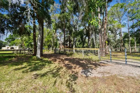 Wimauma FL 33598