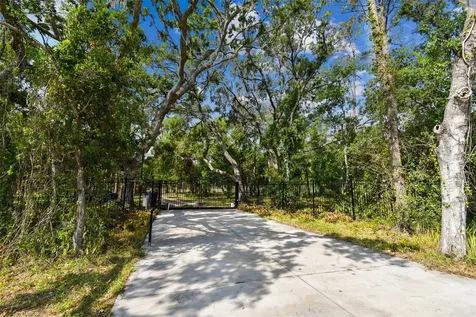Wimauma FL 33598