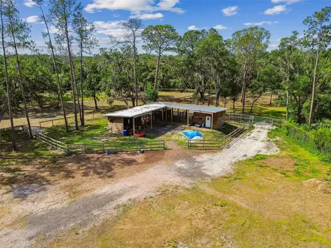 Wimauma FL 33598