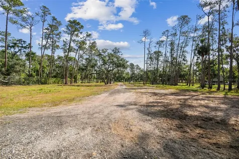 Wimauma FL 33598