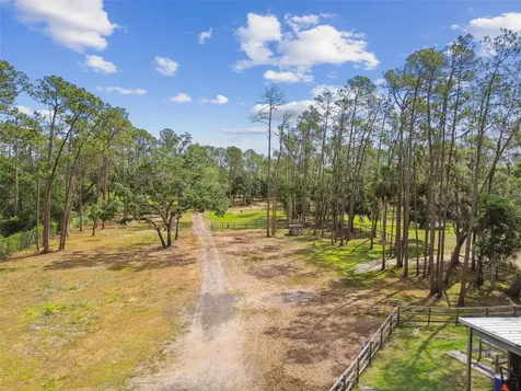 Wimauma FL 33598