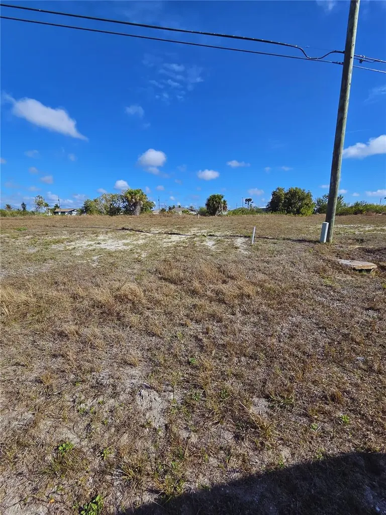 1029 NW 18th Street Cape Coral FL 33993