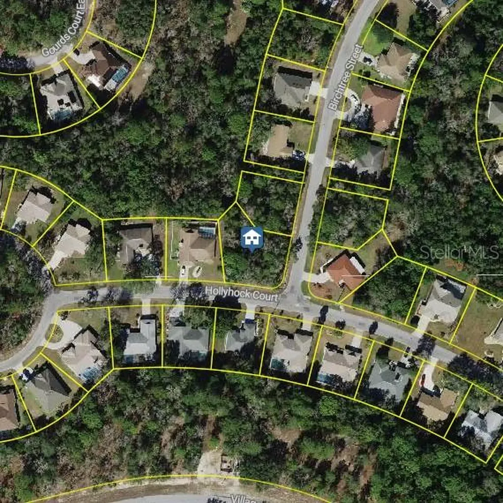 36 Hollyhock Court Homosassa FL 34446